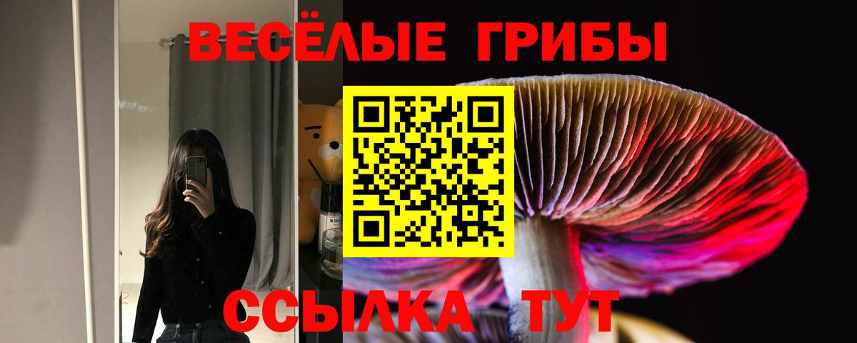 купить закладку  Вход с VPN  Южно-Сахалинск  Галлюциногенные грибы Cubensis 